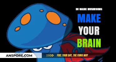 Magic Mushrooms and Brain Function: Unraveling the Psychedelic Connection