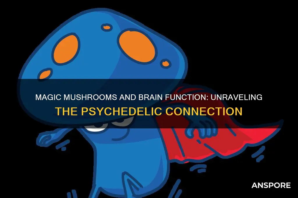 do magic mushrooms make your brain