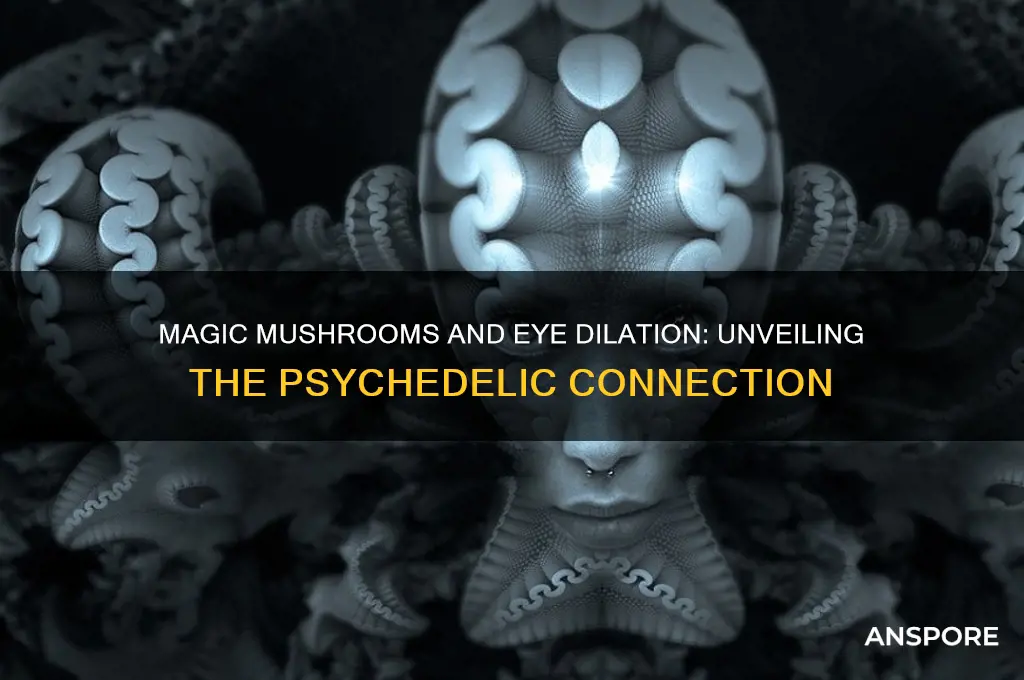 do magic mushrooms make your eyes dilated
