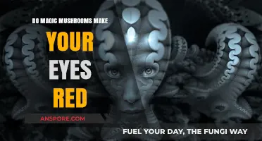 Magic Mushrooms and Red Eyes: Unveiling the Psychedelic Connection