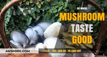 Do Magic Mushrooms Taste Good? Exploring Flavor and Experience