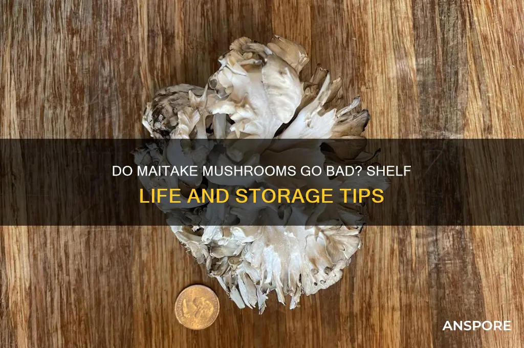 do maitake mushrooms go bad