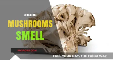 Maitake Mushrooms: What's the Smell?