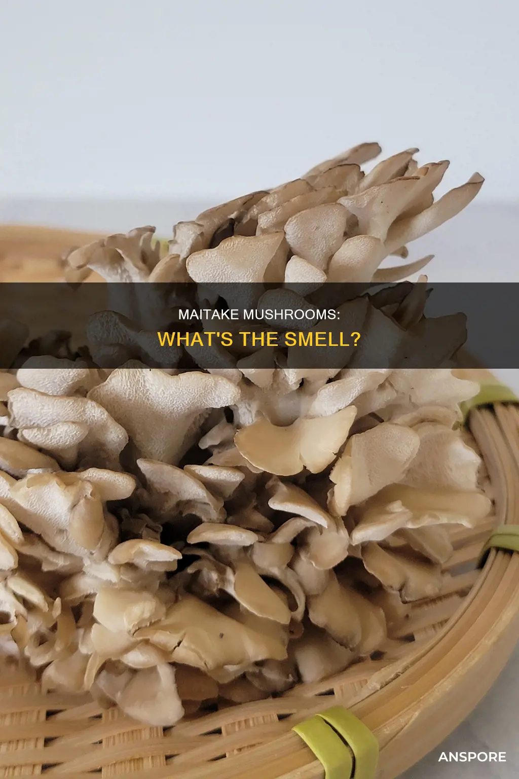 do maitake mushrooms smell