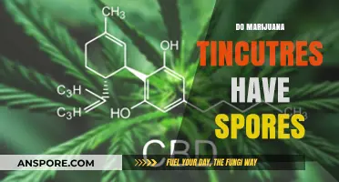 Do Marijuana Tinctures Contain Spores? Unveiling the Truth