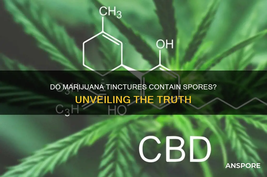 do marijuana tincutres have spores