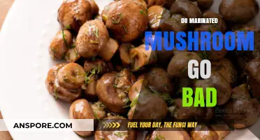 Do Marinated Mushrooms Go Bad? Shelf Life and Storage Tips
