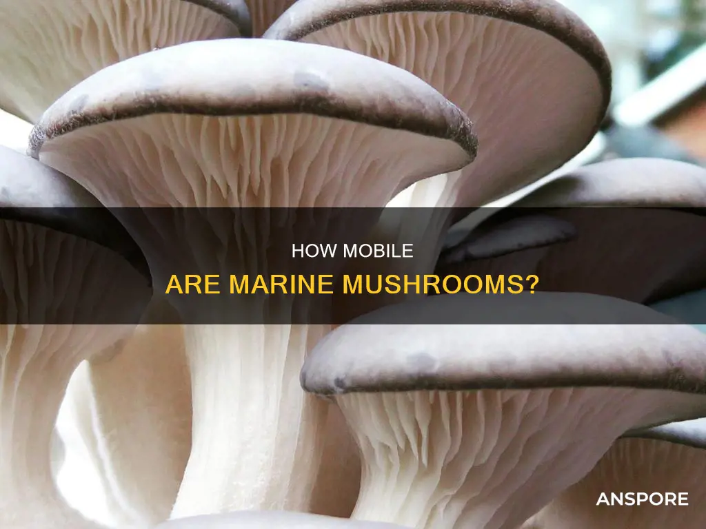 do marine mushrooms move
