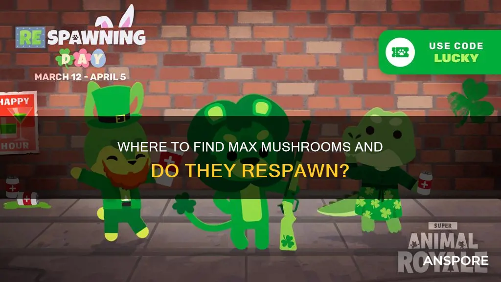 do max mushrooms respawn