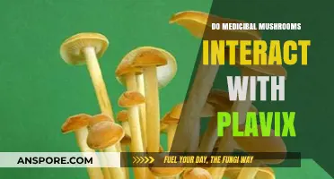 Medicinal Mushrooms and Plavix: Potential Interactions and Safety Concerns