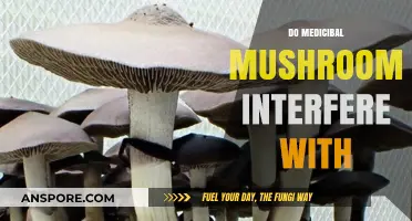 Medicinal Mushrooms: Drug Interactions and Side Effects