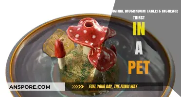 Medicinal Mushroom Tablets: Do They Increase Thirst in Pets?