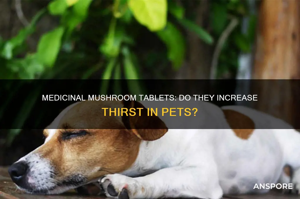 do medicinal mushroom tablets increase thirst in a pet