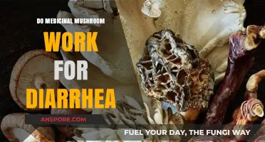 Medicinal Mushrooms for Diarrhea: Do They Really Work?