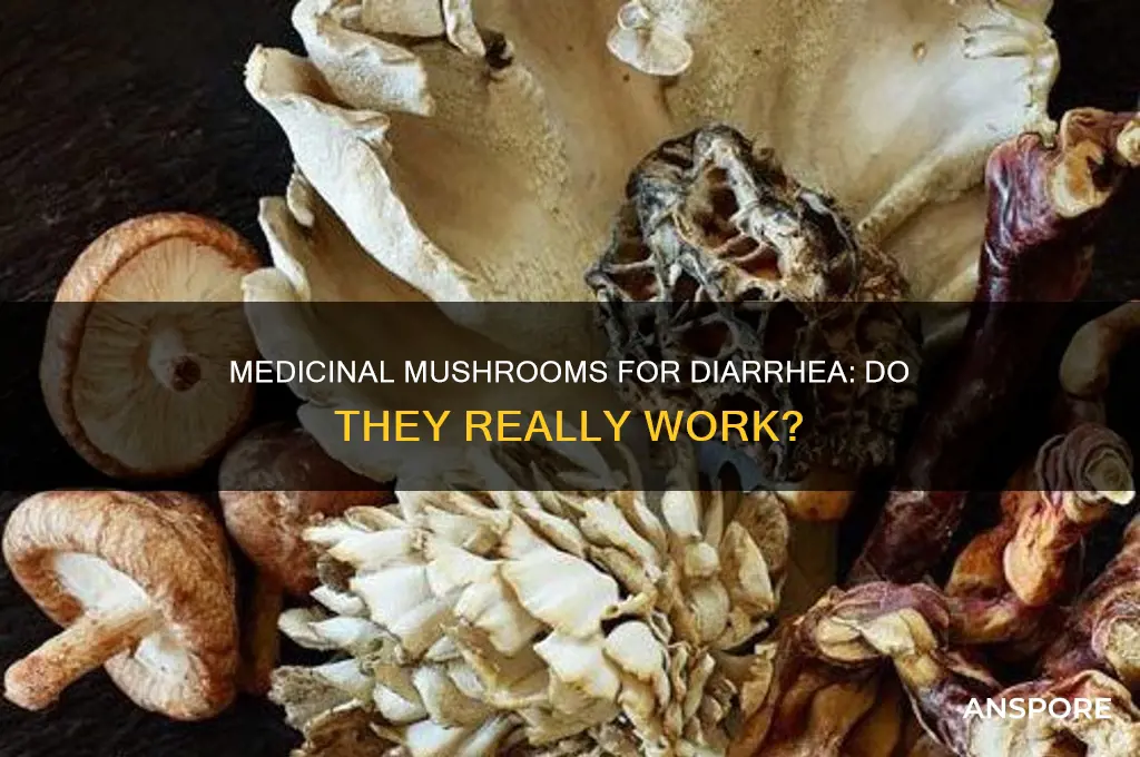 do medicinal mushroom work for diarrhea
