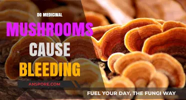 Medicinal Mushrooms: Bleeding Risk and Side Effects