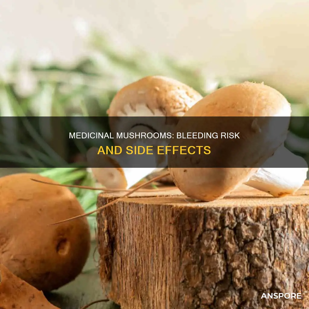 do medicinal mushrooms cause bleeding