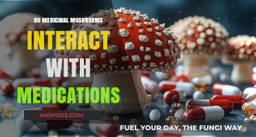 Medicinal Mushrooms and Medications: Potential Interactions and Safety Concerns