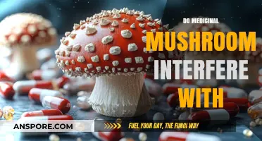 Medicinal Mushrooms: Interactions and Interference