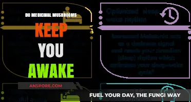 Medicinal Mushrooms and Sleep: Do They Keep You Awake?