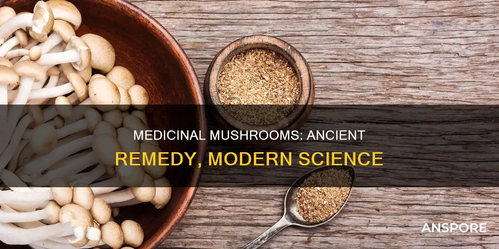 do medicinal mushrooms really work
