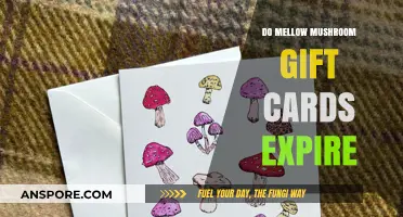 Do Mellow Mushroom Gift Cards Expire? Your Burning Questions Answered