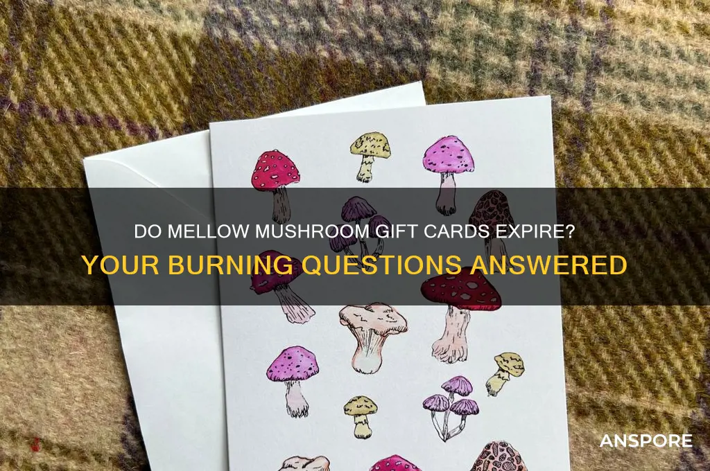 do mellow mushroom gift cards expire