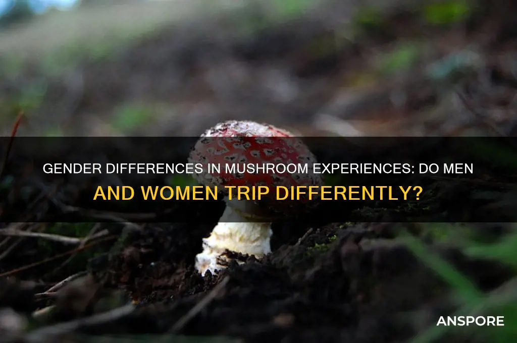 do men and women experience mushrooms the same way