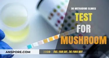 Methadone Clinics and Mushroom Testing: What You Need to Know