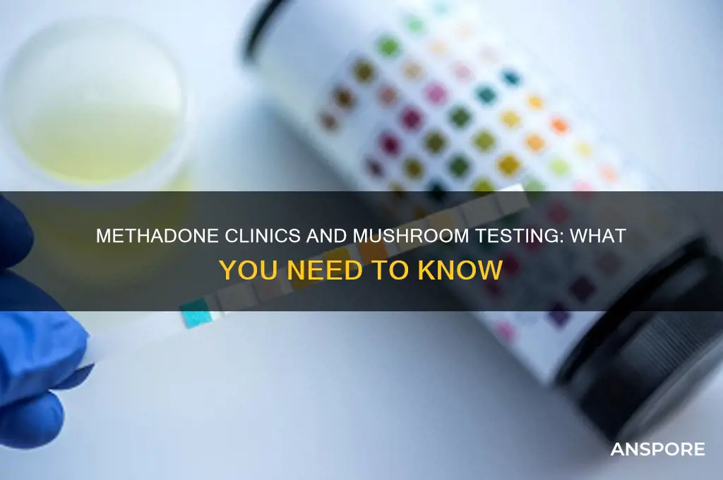 do methadone clinics test for mushrooms