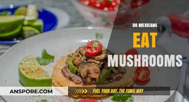 Exploring Mexican Cuisine: Do Mushrooms Have a Place on the Table?