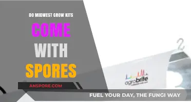 Do Midwest Grow Kits Include Spores? A Comprehensive Guide