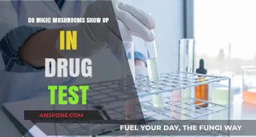 Do Magic Mushrooms Appear in Standard Drug Tests? Find Out