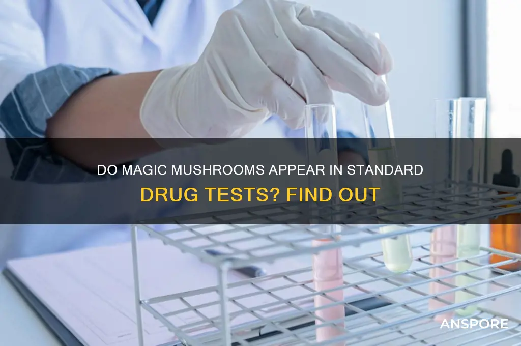 do migic mushrooms show up in drug test