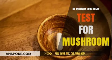 Do Military Drug Tests Detect Psilocybin Mushrooms? Facts Revealed
