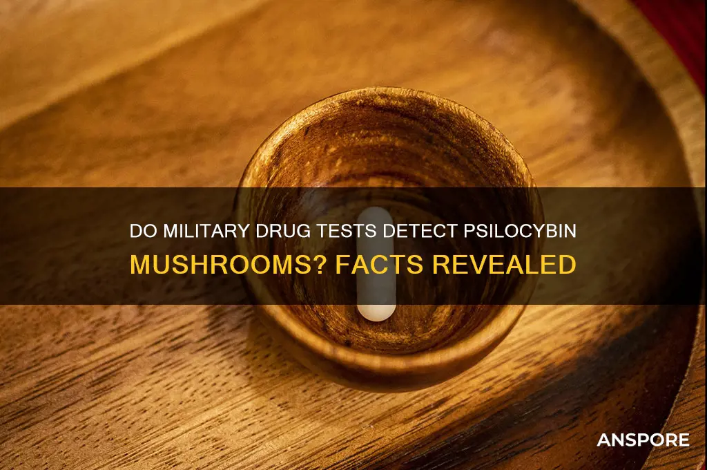 do military drug tests test for mushrooms