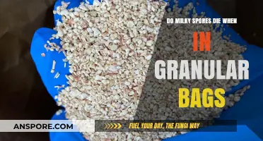 Do Milky Spores Survive in Granular Bags? Uncovering the Truth