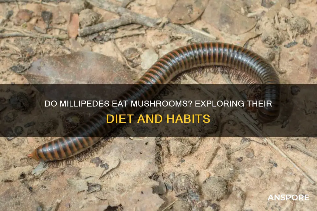 do millipedes eat mushrooms