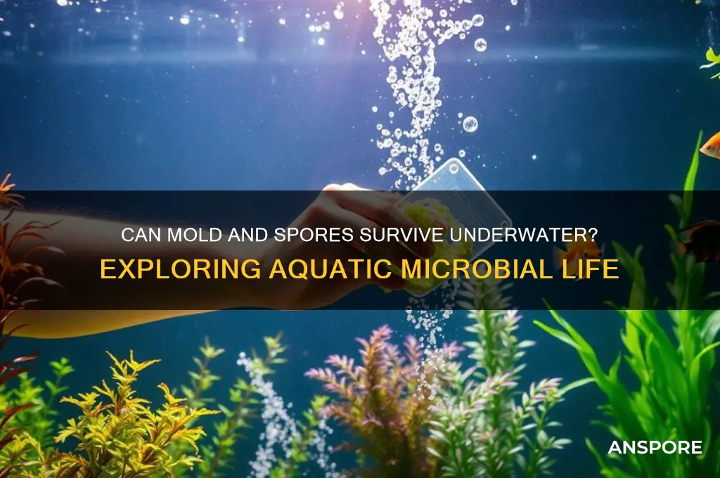 do mold and spores live underwater
