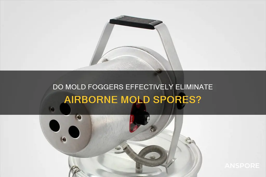 do mold fogger kill mold air spores