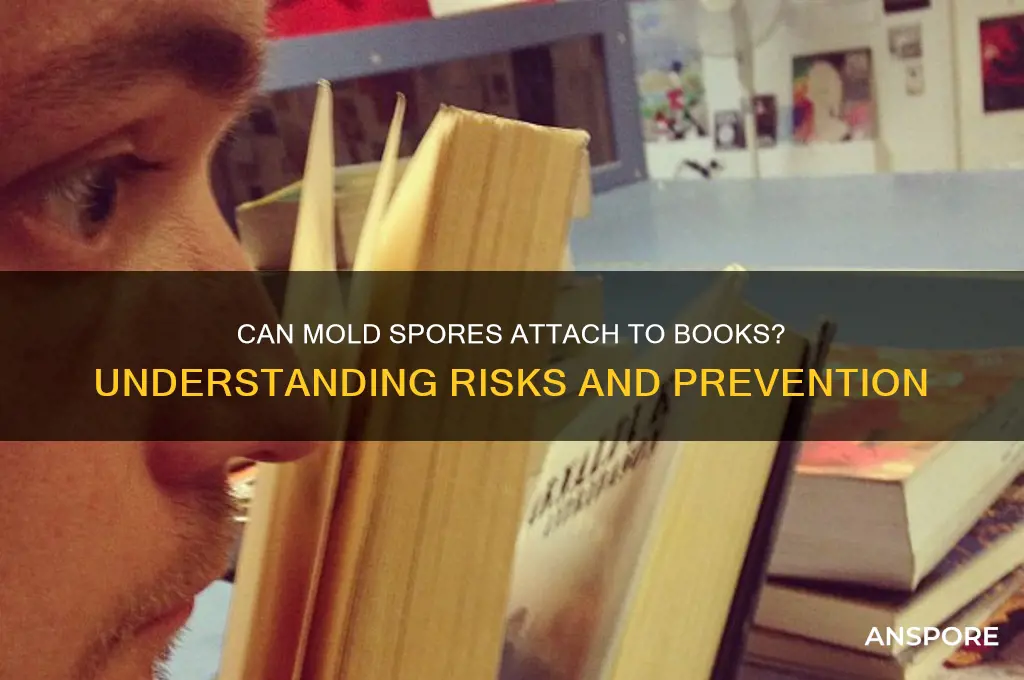 do mold spores attach to books