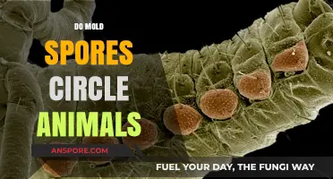 Do Mold Spores Circle Animals? Unveiling the Truth Behind the Myth