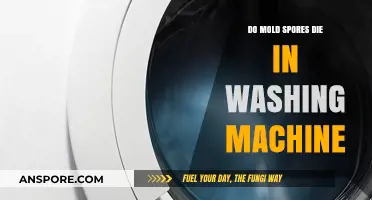 Can Washing Machines Kill Mold Spores? Facts and Tips Revealed