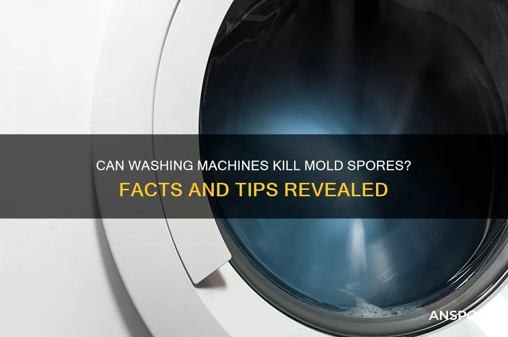 do mold spores die in washing machine