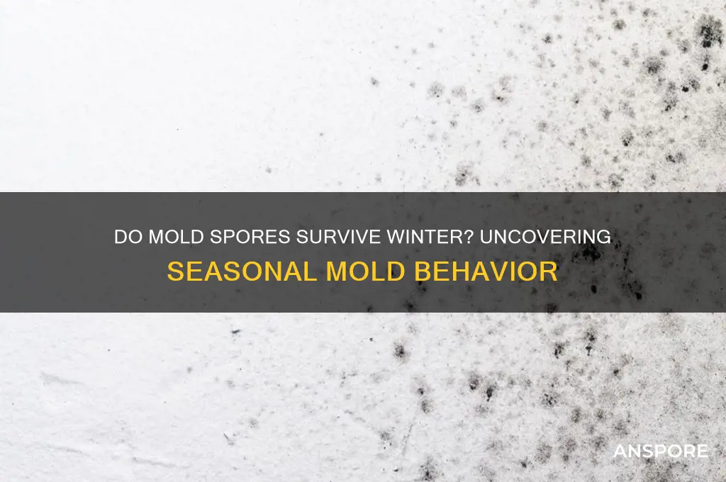 do mold spores die in winter