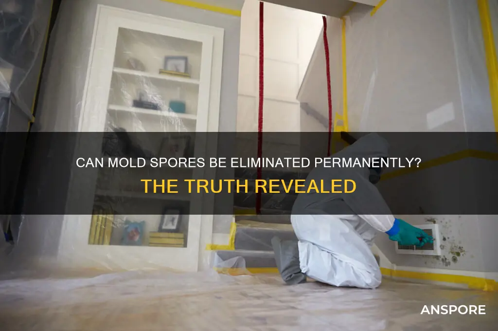 do mold spores ever go away