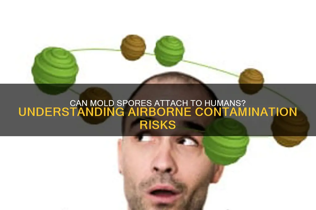 do mold spores go on people