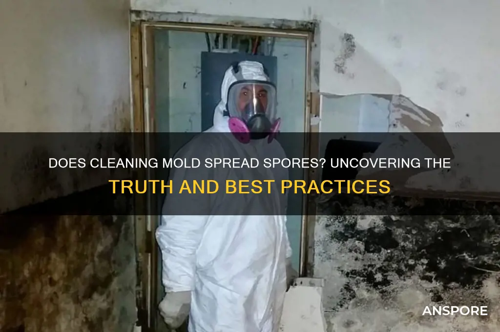 do mold spores spread when cleaned