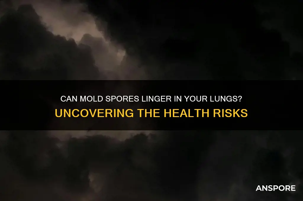 do mold spores stay in your lungs