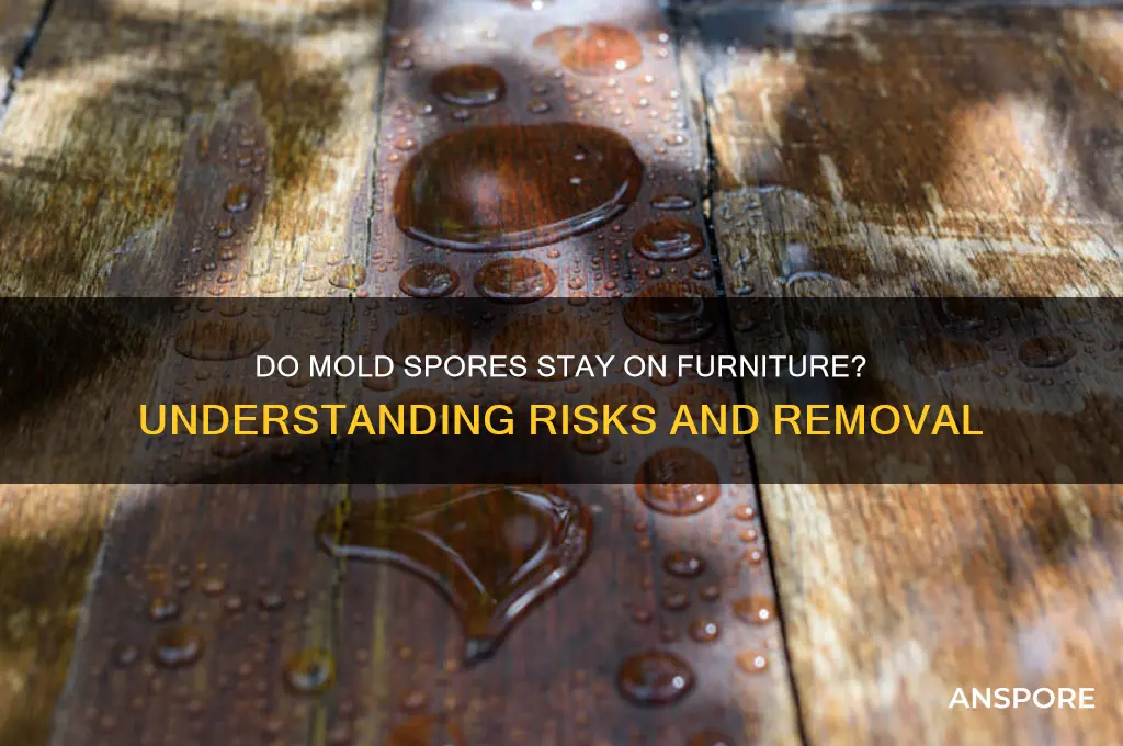 do mold spores stay on furniture